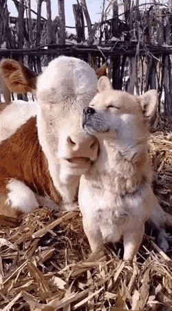 180a015aa342f36b7 포맷 후 설치할 프로그램 목록