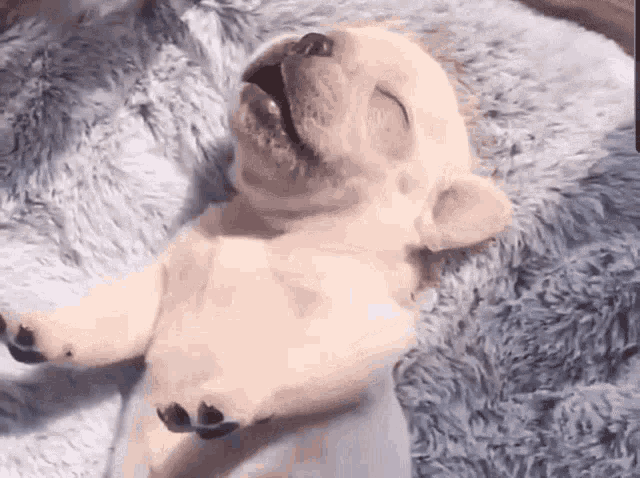 KakaoTalk 20231107 212720537 포맷 후 설치할 프로그램 목록