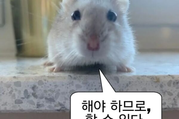 6552878c50e81145301f177aa1f95eba 논문 리뷰어에게 사랑받는 논문?