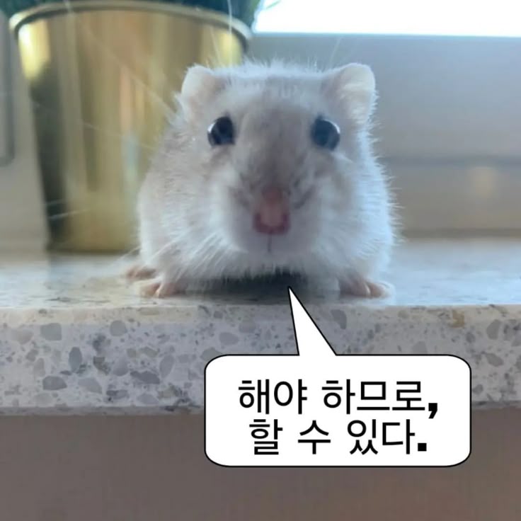 6552878c50e81145301f177aa1f95eba 논문 리뷰어에게 사랑받는 논문?