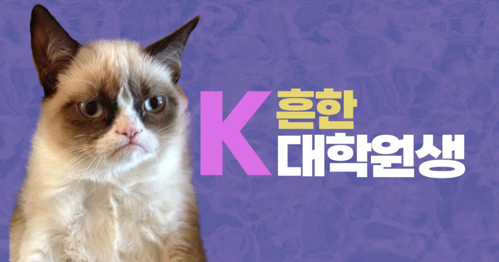 blooo 대학원 졸업 후 취업관련 팁