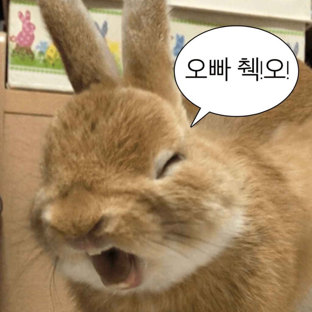 image 152 효율적인 연구의 필수 도구, 참고문헌 관리 프로그램 완벽분석