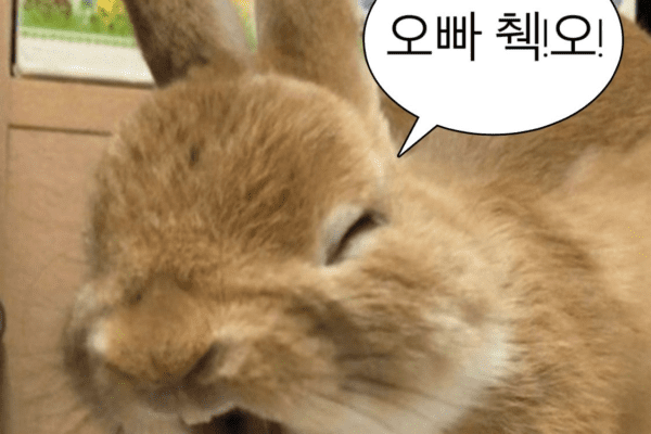 image 152 효율적인 연구의 필수 도구, 참고문헌 관리 프로그램 완벽분석