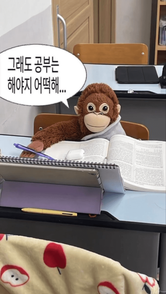 image 17 대학원생 스펙 관리법!