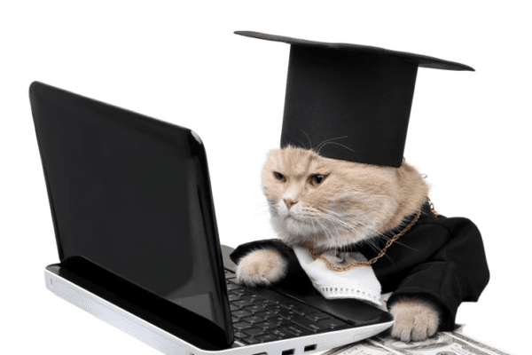 image 181 SPSS Statistics 분석이 안 되는 이유 90%는 이것 때문입니다