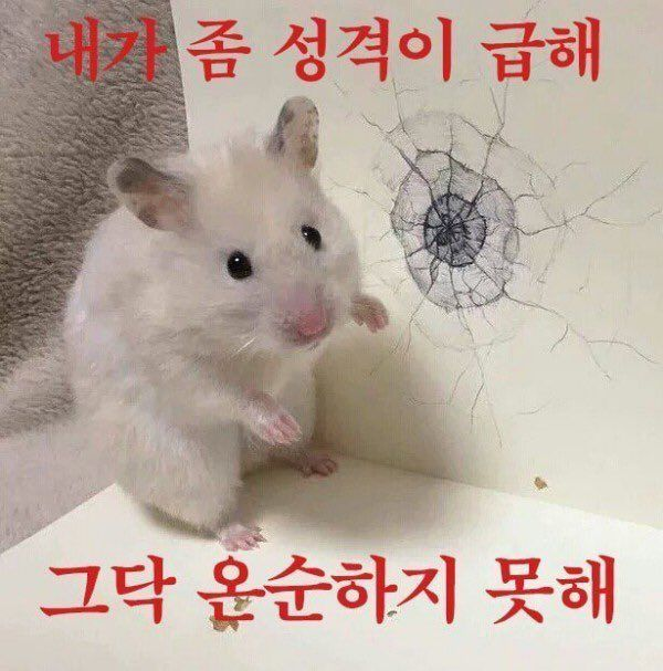 image 연구 주제, 효과적인 논문 주제 선정 방법!