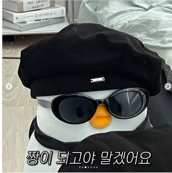 스크린샷 25 2 2025 1403 www.instagram.com 대학원 졸업 후 취업관련 팁