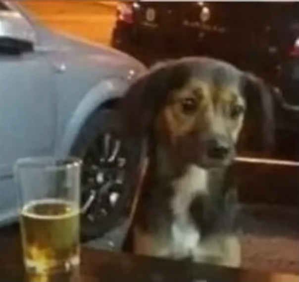 화면 캡처 2024 01 23 234656 철학적인 관점의 경제학