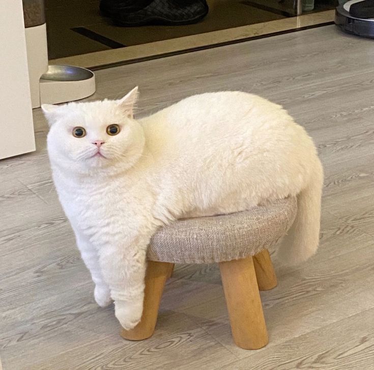 456456456456456 논문 작성 시 치명적인 실수: 참고문헌 관리