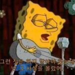 20250717 nbcau 1 SPSS 리커트(5·7점) 설문, 신뢰도(Cronbach’s α) 제대로 보는 법