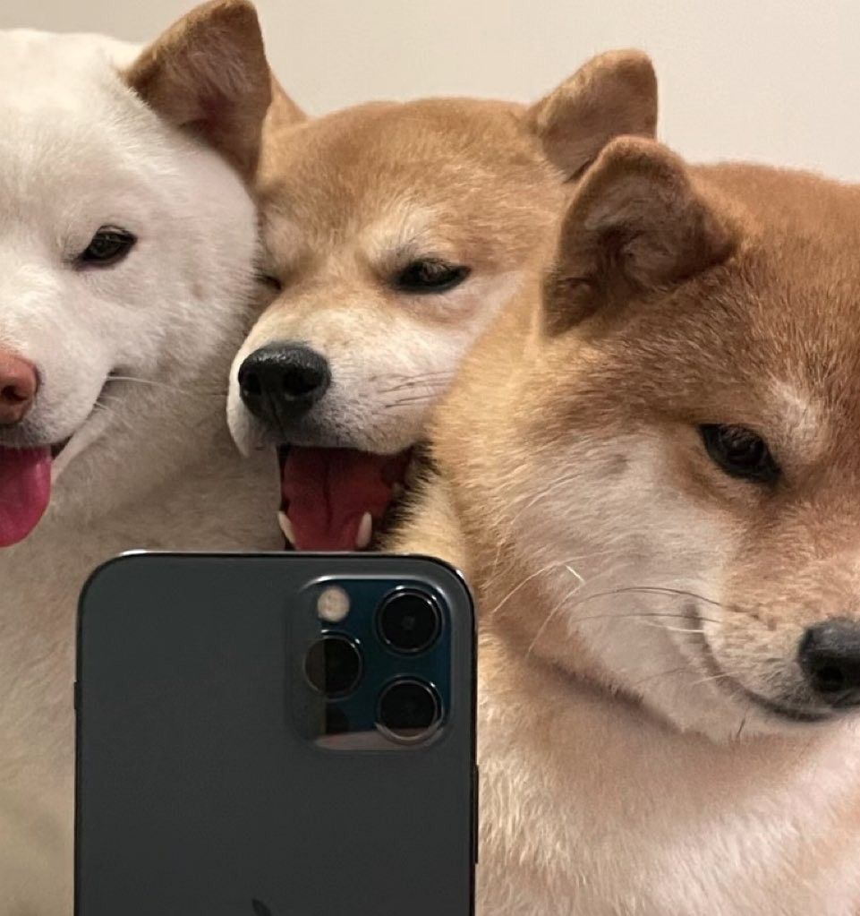 20251128 nb10 논문 통계분석 맡겨도 될까?