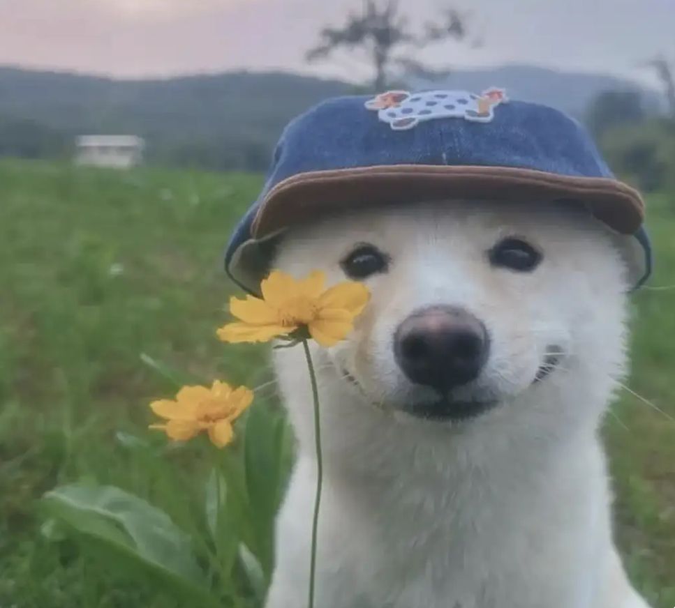 20250825 nbcau1 논문 끝내는 가장 빠른 방법