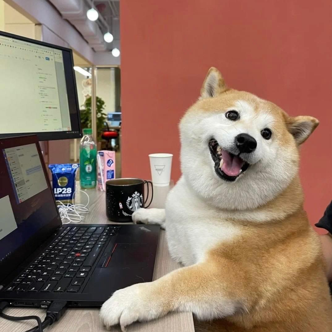 20251113 jpg8 통계분석 업체 고르는 기준 (실패 안 하는 법)