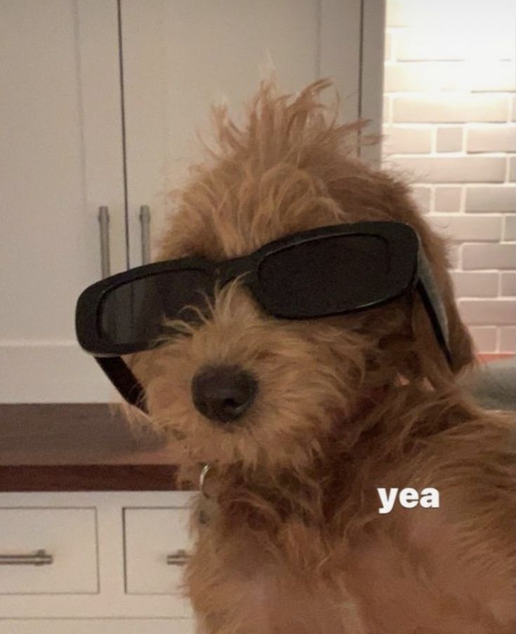 20251209 NB5 대학원생 필수, 논문 표 정리법